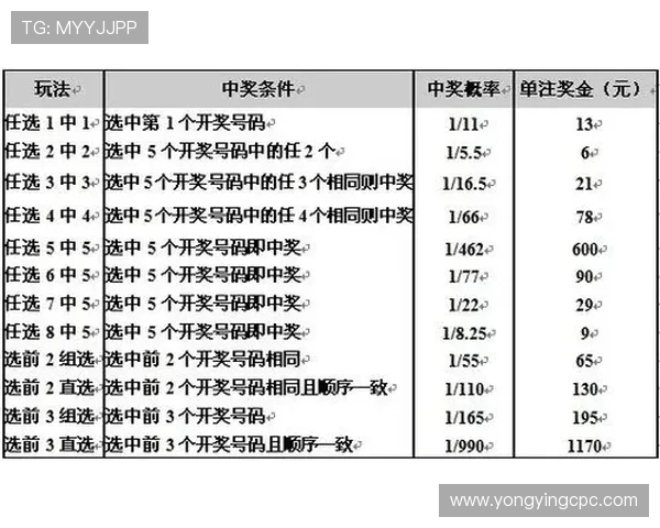 幸运11选5投注技巧与策略全解析助你稳健提升中奖概率